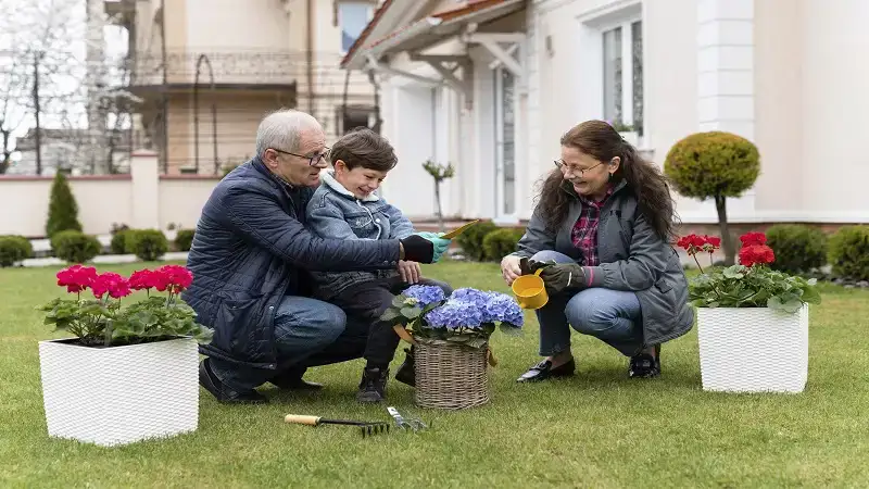 Creating a Functional and Beautiful Landscape