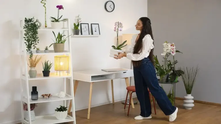 Stylish Home Decor Ideas to Upgrade Your Space